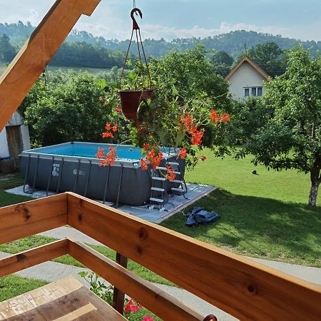 Stara Etno Kuca Radonjic Vila Guča Exterior foto