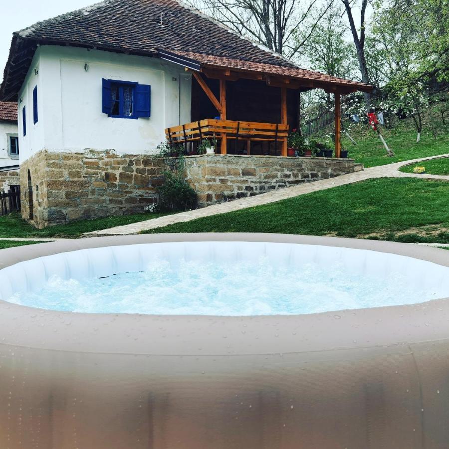 Stara Etno Kuca Radonjic Vila Guča Exterior foto