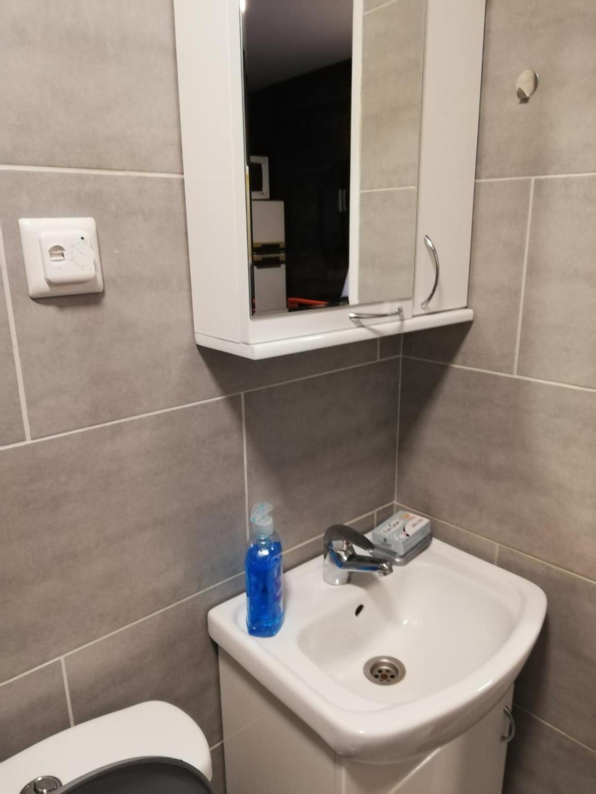 Stara Etno Kuca Radonjic Vila Guča Quarto foto