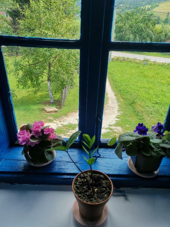 Stara Etno Kuca Radonjic Vila Guča Exterior foto