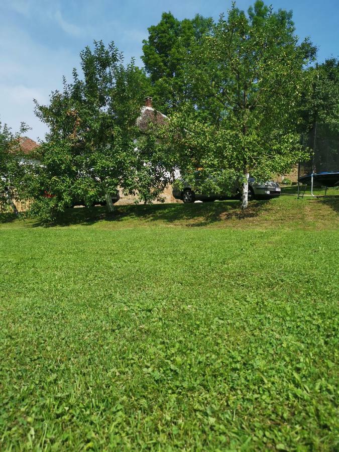 Stara Etno Kuca Radonjic Vila Guča Exterior foto