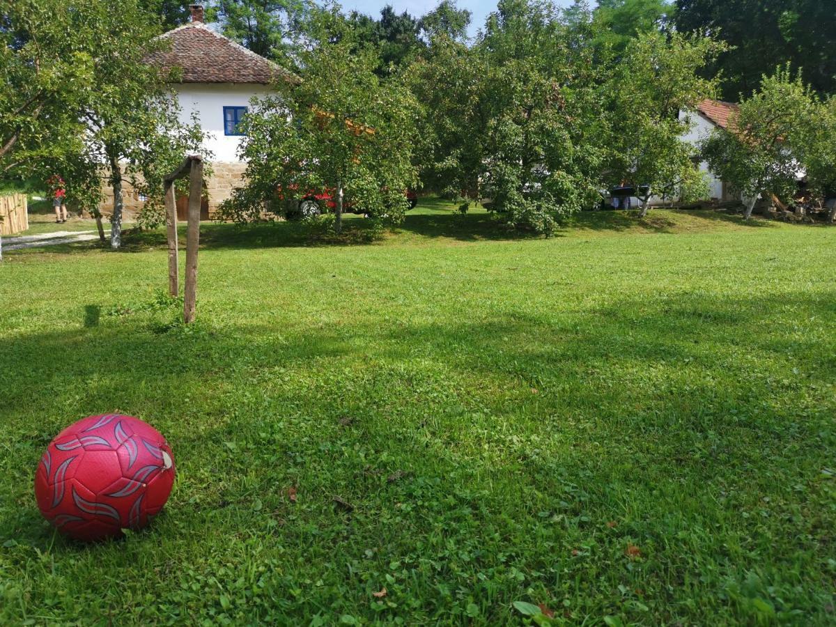 Stara Etno Kuca Radonjic Vila Guča Exterior foto