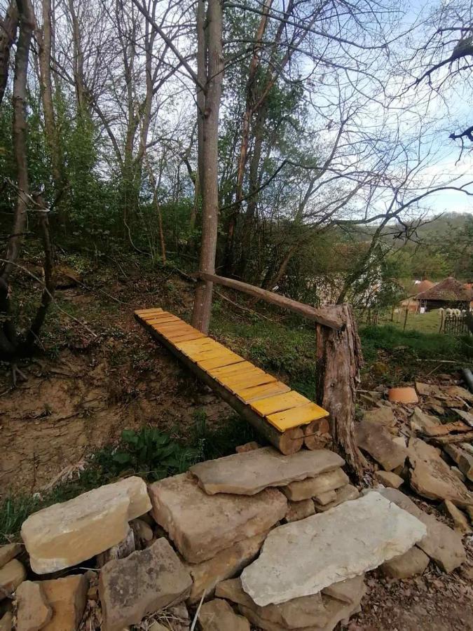 Stara Etno Kuca Radonjic Vila Guča Exterior foto